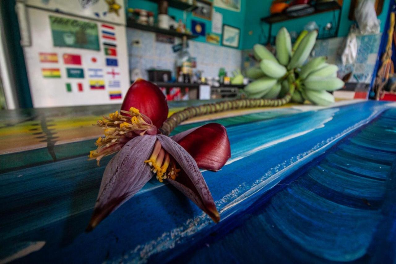 Farah Hostel Suites Camping Smartcamp E Passeio De Barco Boicucanga Εξωτερικό φωτογραφία