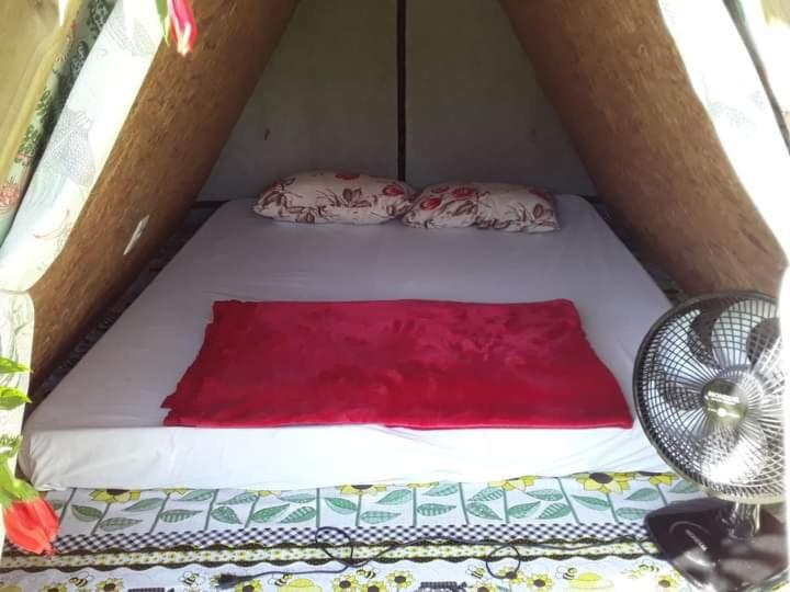 Farah Hostel Suites Camping Smartcamp E Passeio De Barco Boicucanga Εξωτερικό φωτογραφία